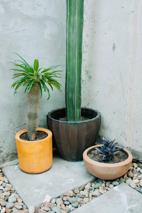 Charming 3Br Oasis, 5 Min Fr Usa - Ac In Every Rm Ciudad Juárez Exterior photo
